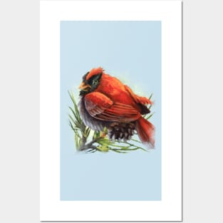 Cranky Cardinal Posters and Art